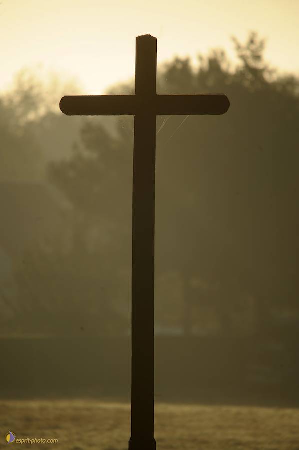 Nom de l'image : D30082705_1_(c)Norbert-JUNG — Description :